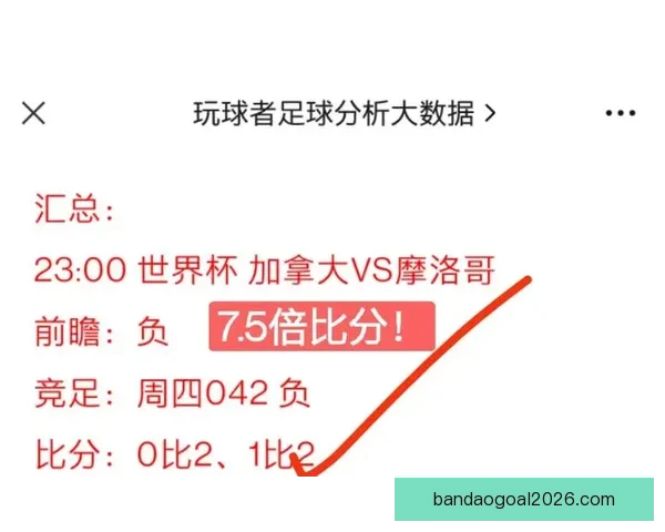世界杯足球竞猜官网权威入口推荐实时比分与赛事分析全指南