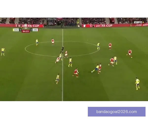 阿森纳半场0-1落后南安普顿 本-怀特失误助攻斯图尔特破门